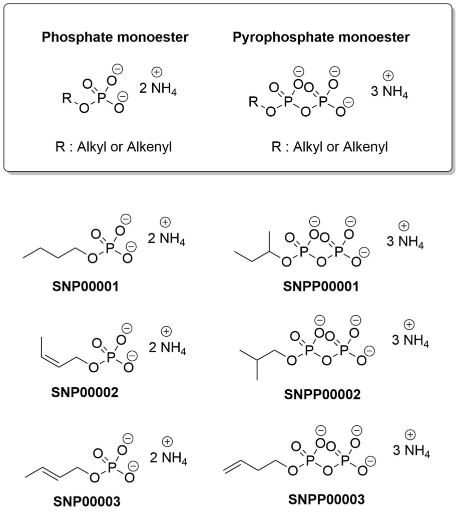 phosphate-pyrophosphate