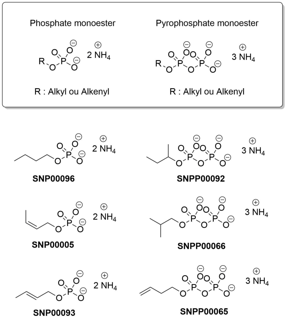 phosphate-diphosphate